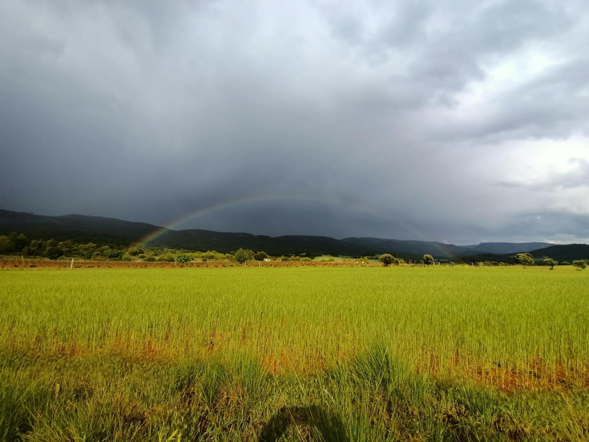 Alojamiento Rural El Cerro Fresneda de la Sierra ภายนอก รูปภาพ