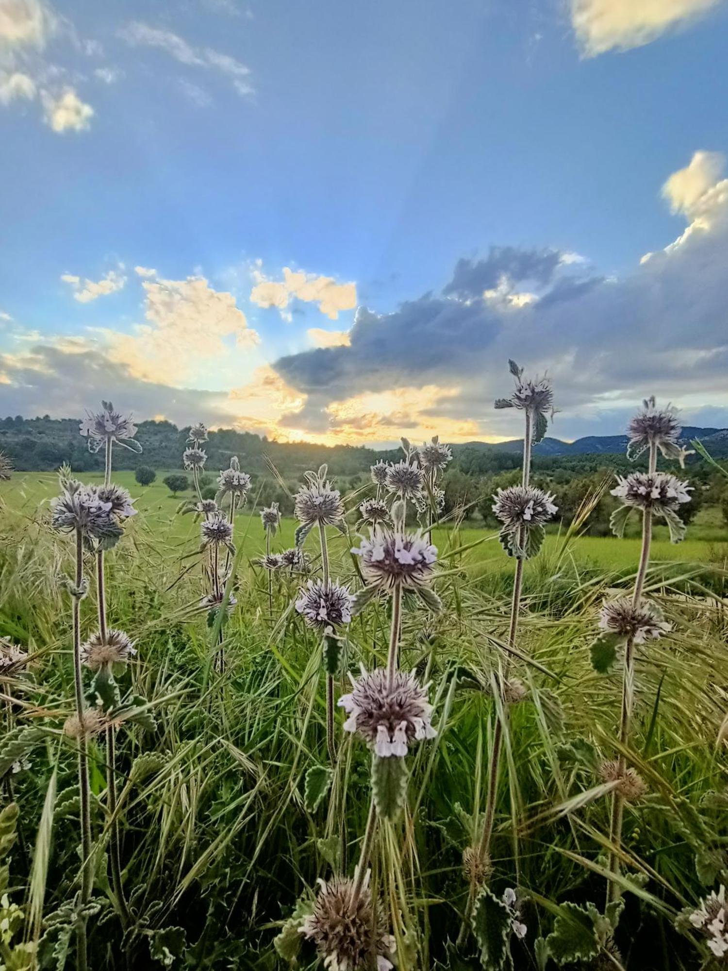 Alojamiento Rural El Cerro Fresneda de la Sierra ภายนอก รูปภาพ