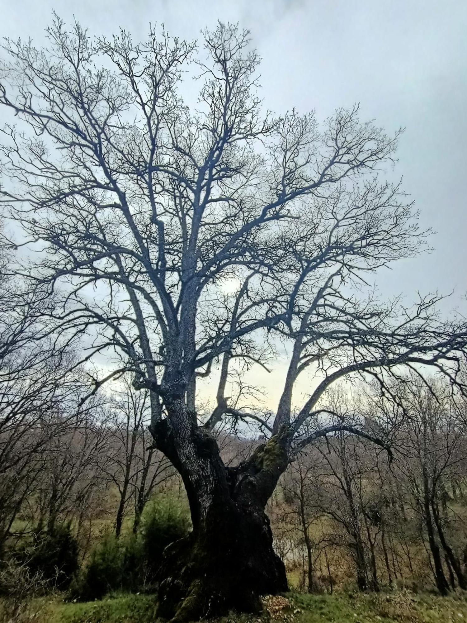 Alojamiento Rural El Cerro Fresneda de la Sierra ภายนอก รูปภาพ